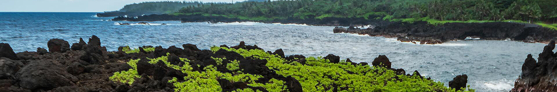 welcome to the islands contact us